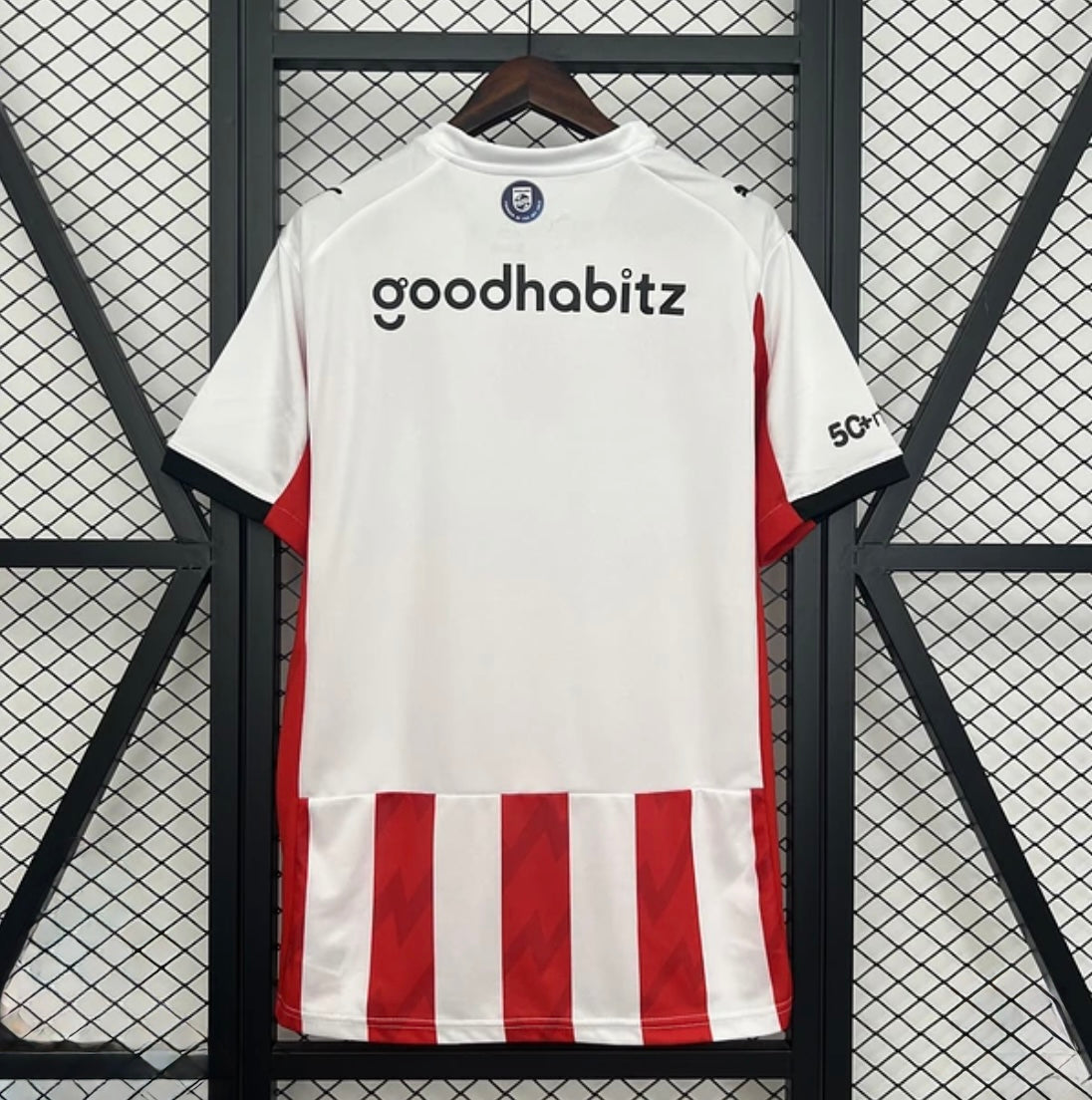 PSV 2025/26 Domicile